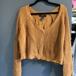 F21 Cropped Sweater